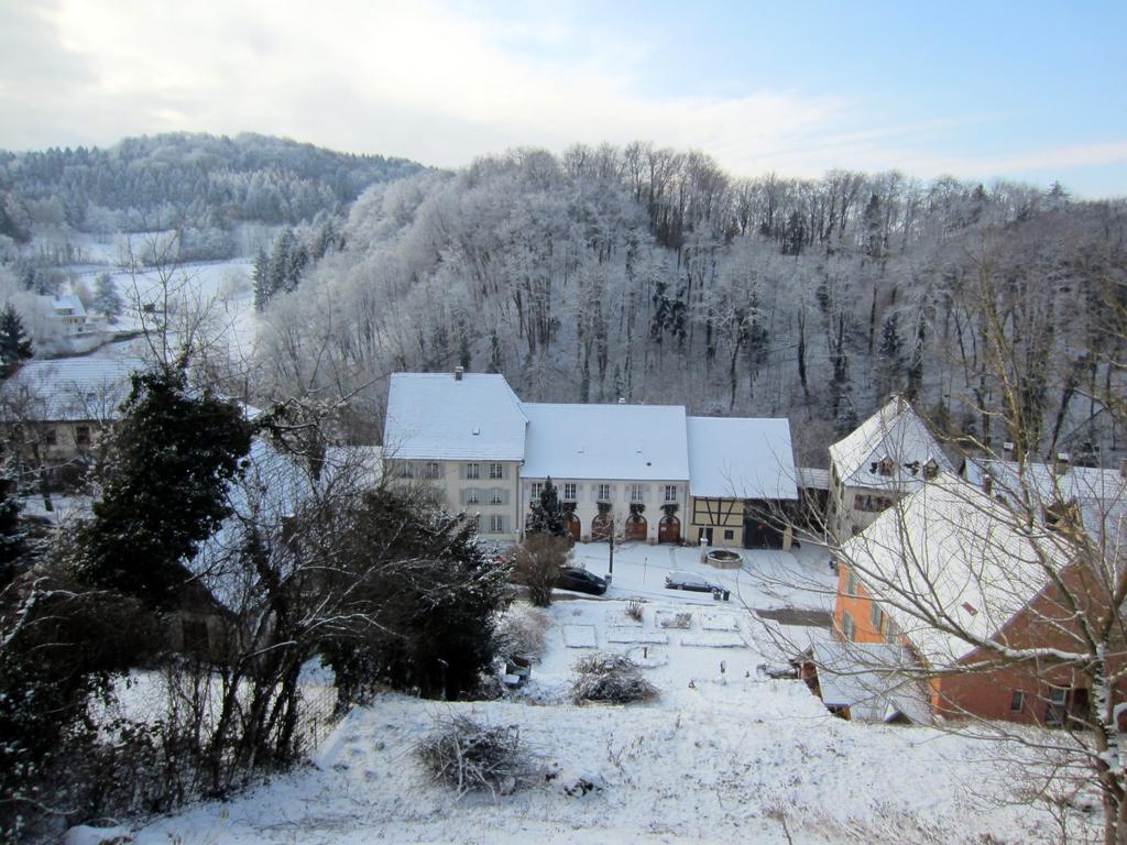 La Maison Des Fontaines D'Alsace Ferrette Kültér fotó