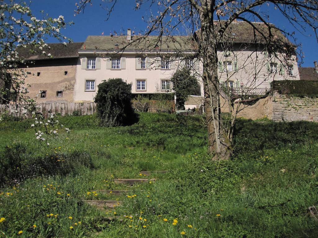 La Maison Des Fontaines D'Alsace Ferrette Szoba fotó
