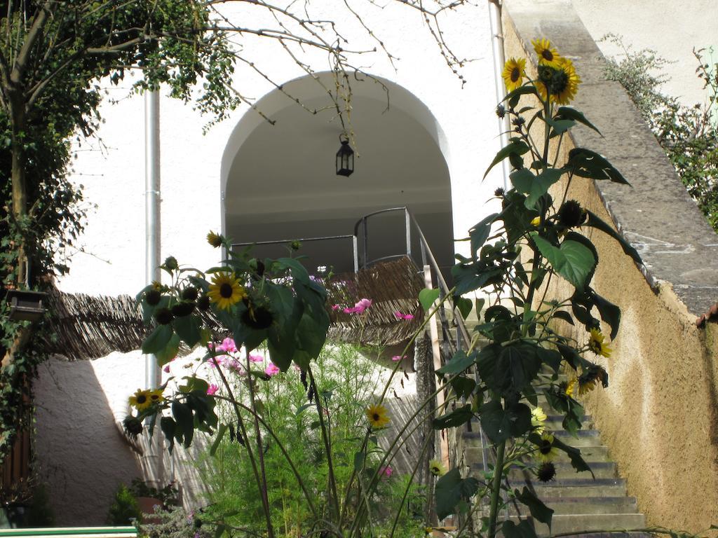La Maison Des Fontaines D'Alsace Ferrette Kültér fotó