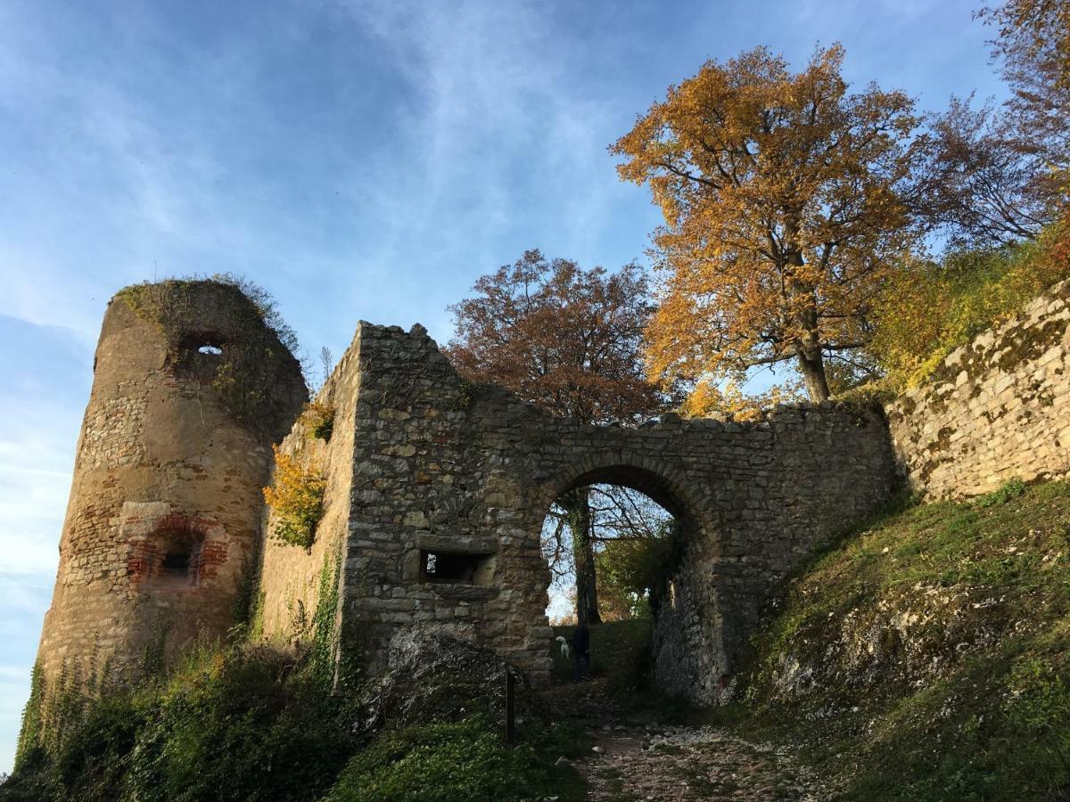 La Maison Des Fontaines D'Alsace Ferrette Kültér fotó