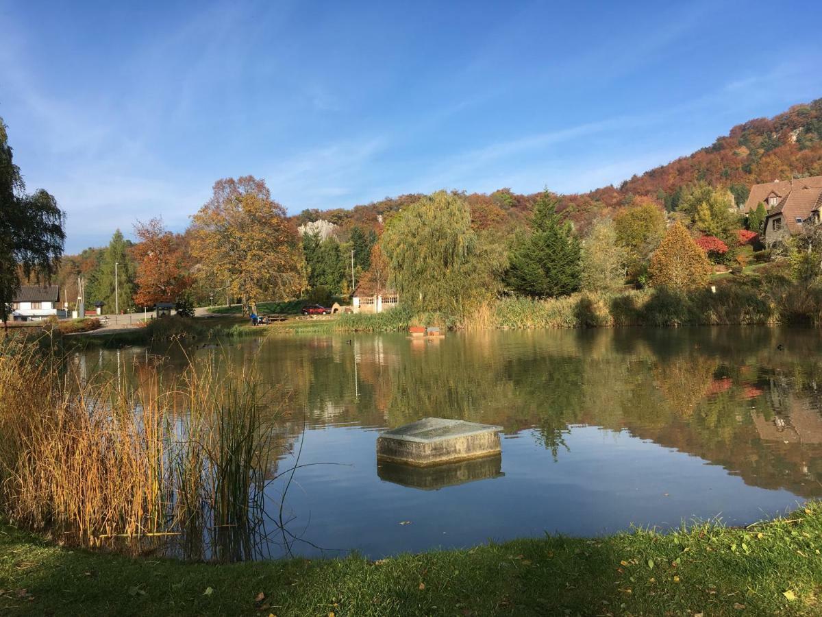 La Maison Des Fontaines D'Alsace Ferrette Kültér fotó